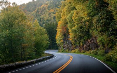 Winding Solace: Curved Road Great Smoky Mountains