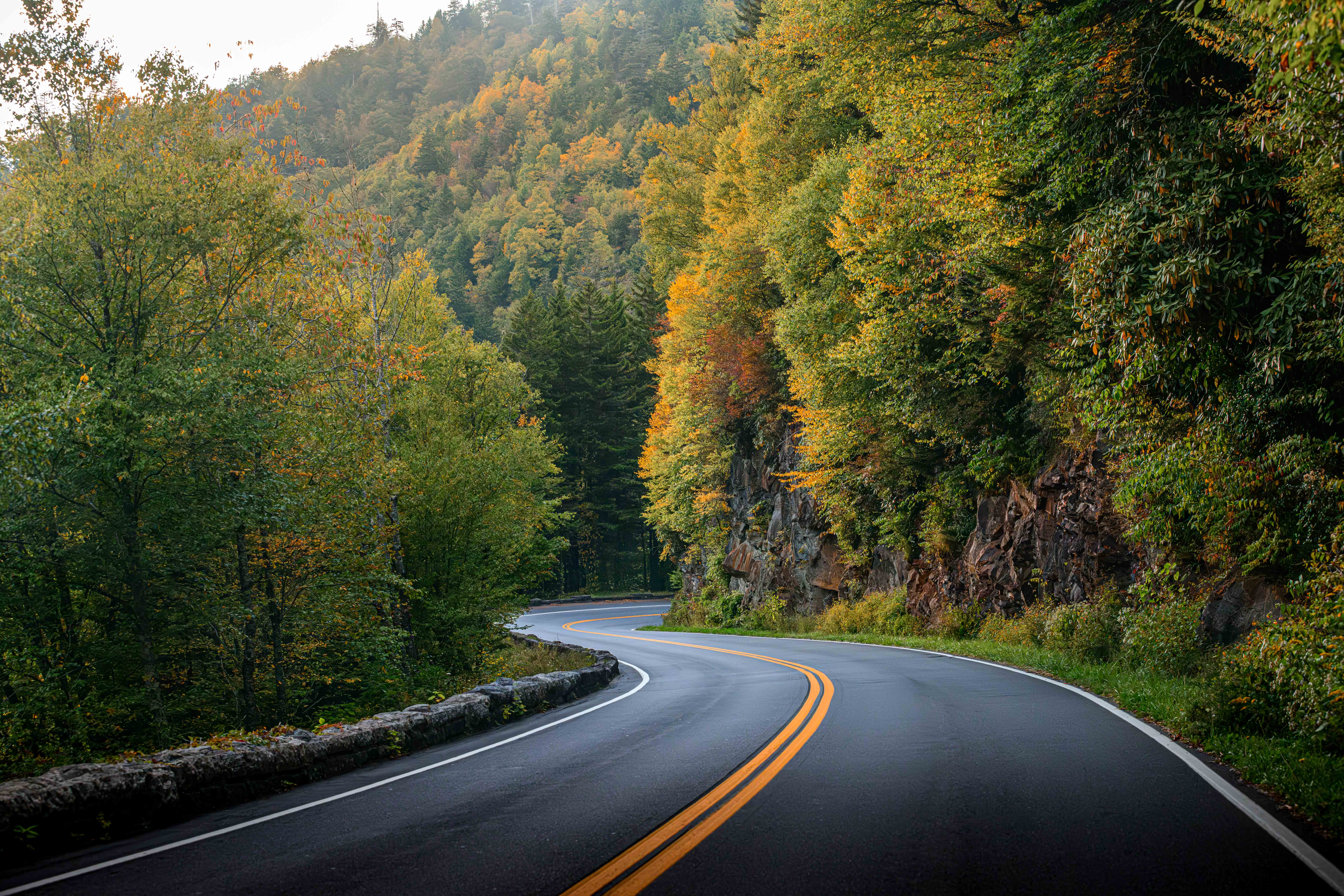 Winding Solace: Curved Road Great Smoky Mountains