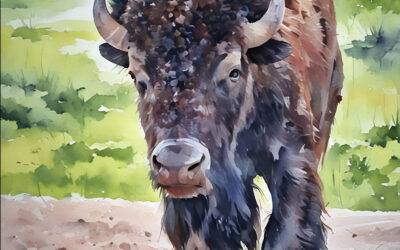 Bison Watercolor: Yellowstone National Park Wyoming Wildlife